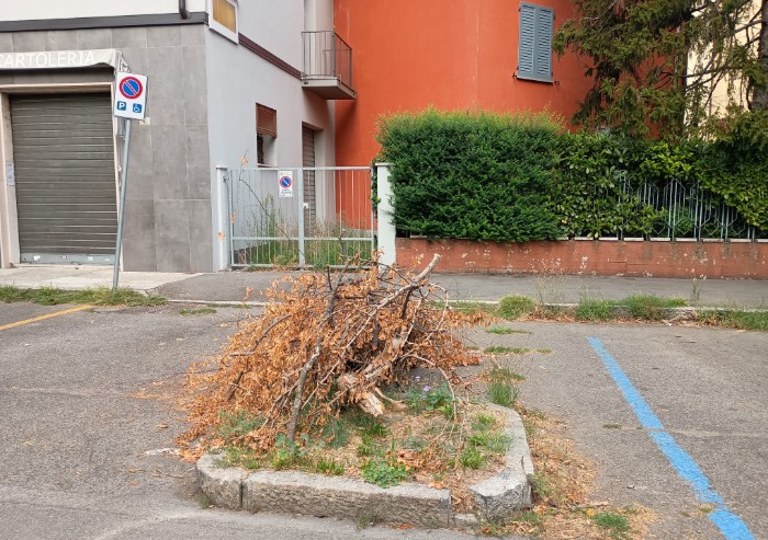 Modena, è normale che i resti di un temporale rimangano a terra per settimane?