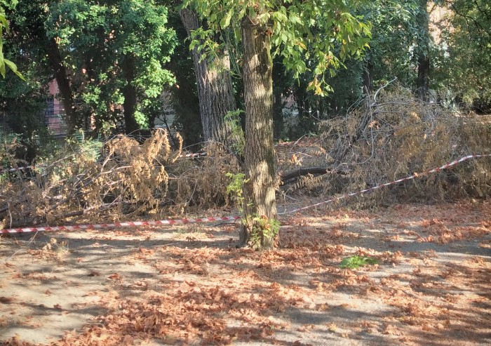 Modena, ciclabile Langer ancora invasa dai rami crollati un mese fa